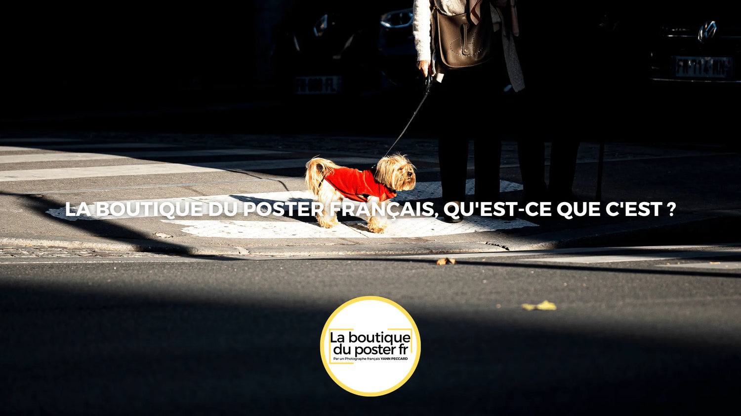 La Boutique du Poster Français, qu'est-ce que c'est ?