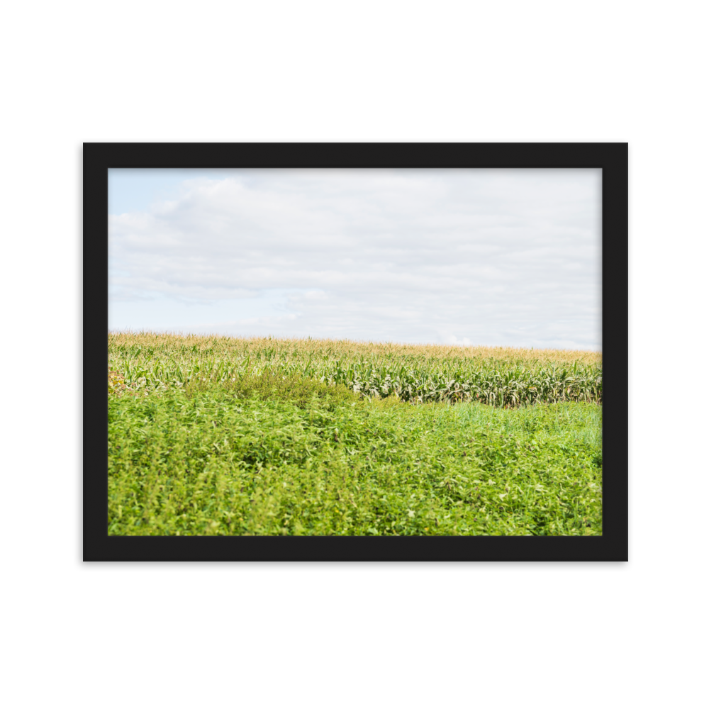 Poster mural - Paysage Indre et Loire N01 – Photographie de paysage – Poster photographie, photographie murale et des posters muraux unique au monde. La boutique de posters créée par Yann Peccard un Photographe français.