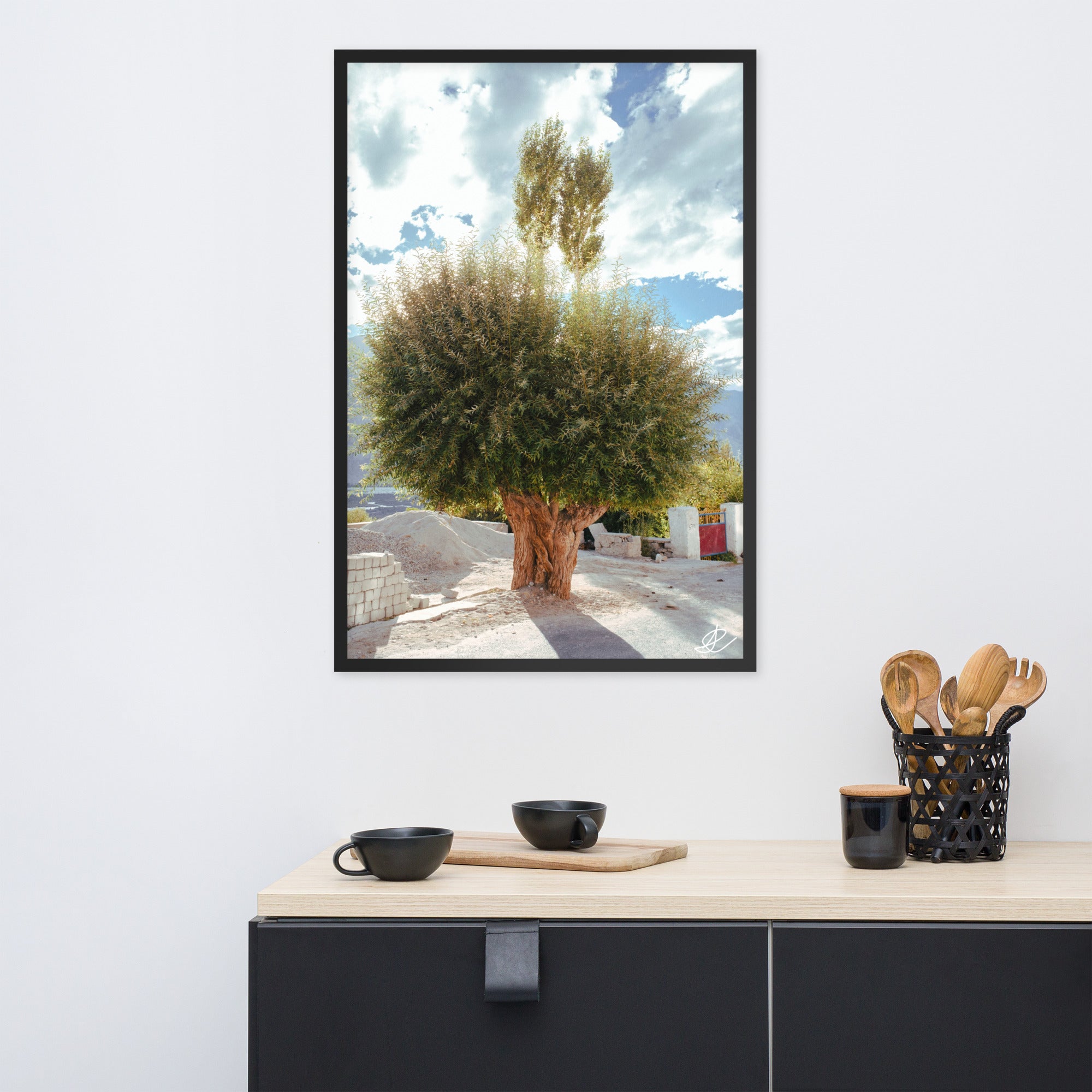 Photographie 'Arbre du Monastère' par Ilan Shoham, illustrant un arbre en pleine lumière juxtaposé à un monastère en ombre dans la Vallée de Noubra, symbolisant la rencontre entre la nature et l'évolution humaine.