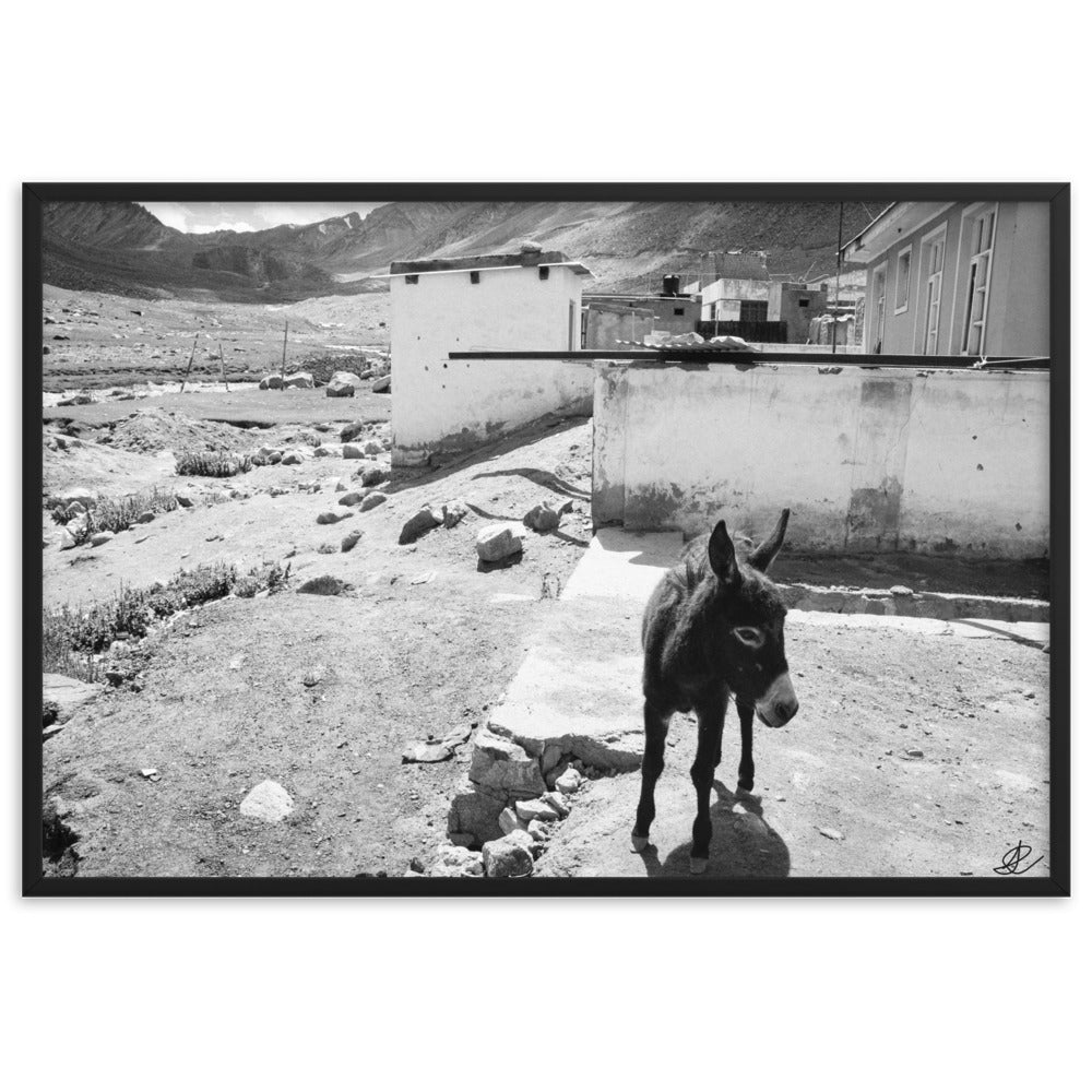 Photographie 'Le Temple sur la Montagne' par Ilan Shoham, montrant le monastère de Thiksey perché sur les hauteurs du Ladakh, encadré par des rouleaux à prières, avec un ciel azur en arrière-plan.