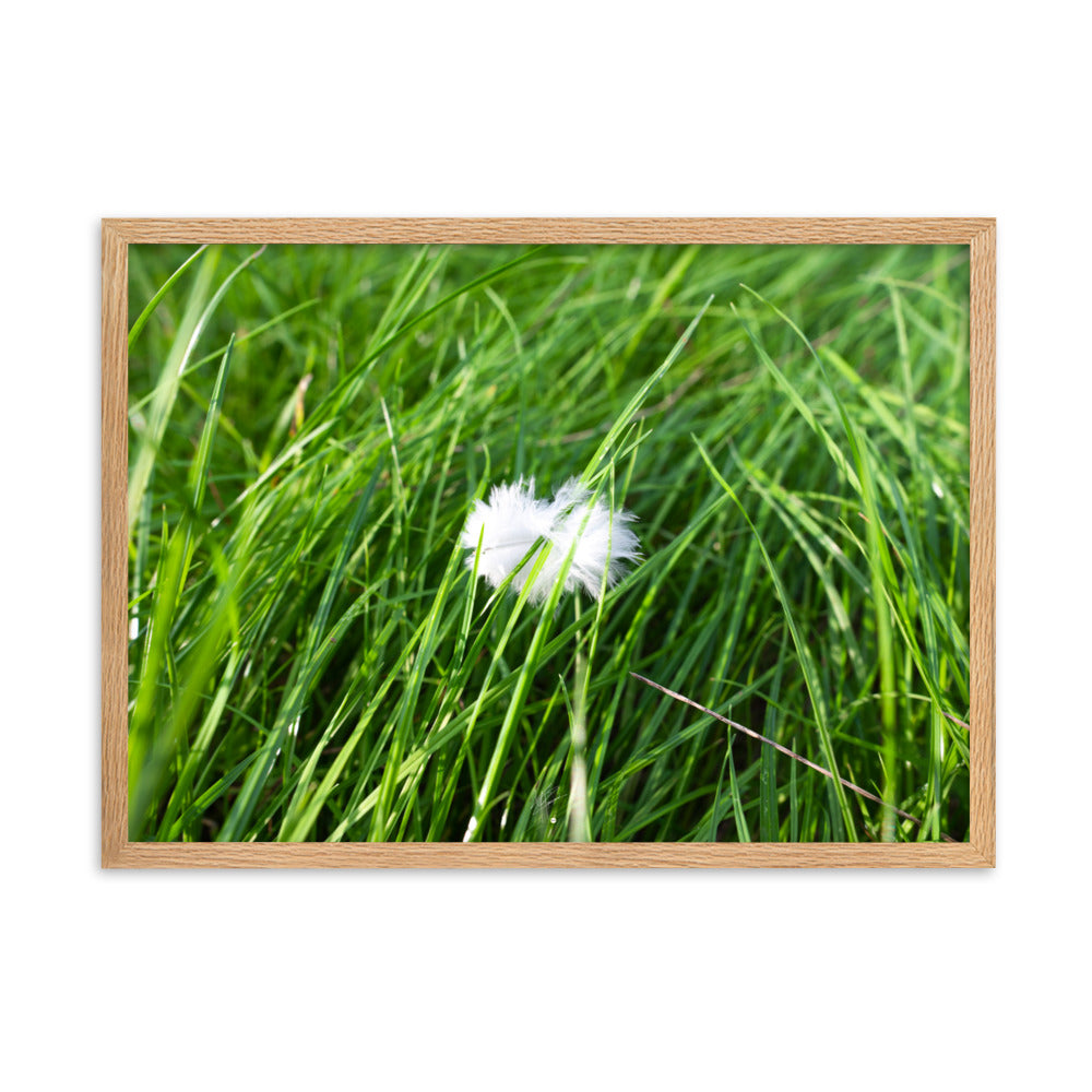 Photographie d'une plume blanche solitaire reposant paisiblement sur une herbe verte, encapsulant une ambiance de calme et de sérénité.