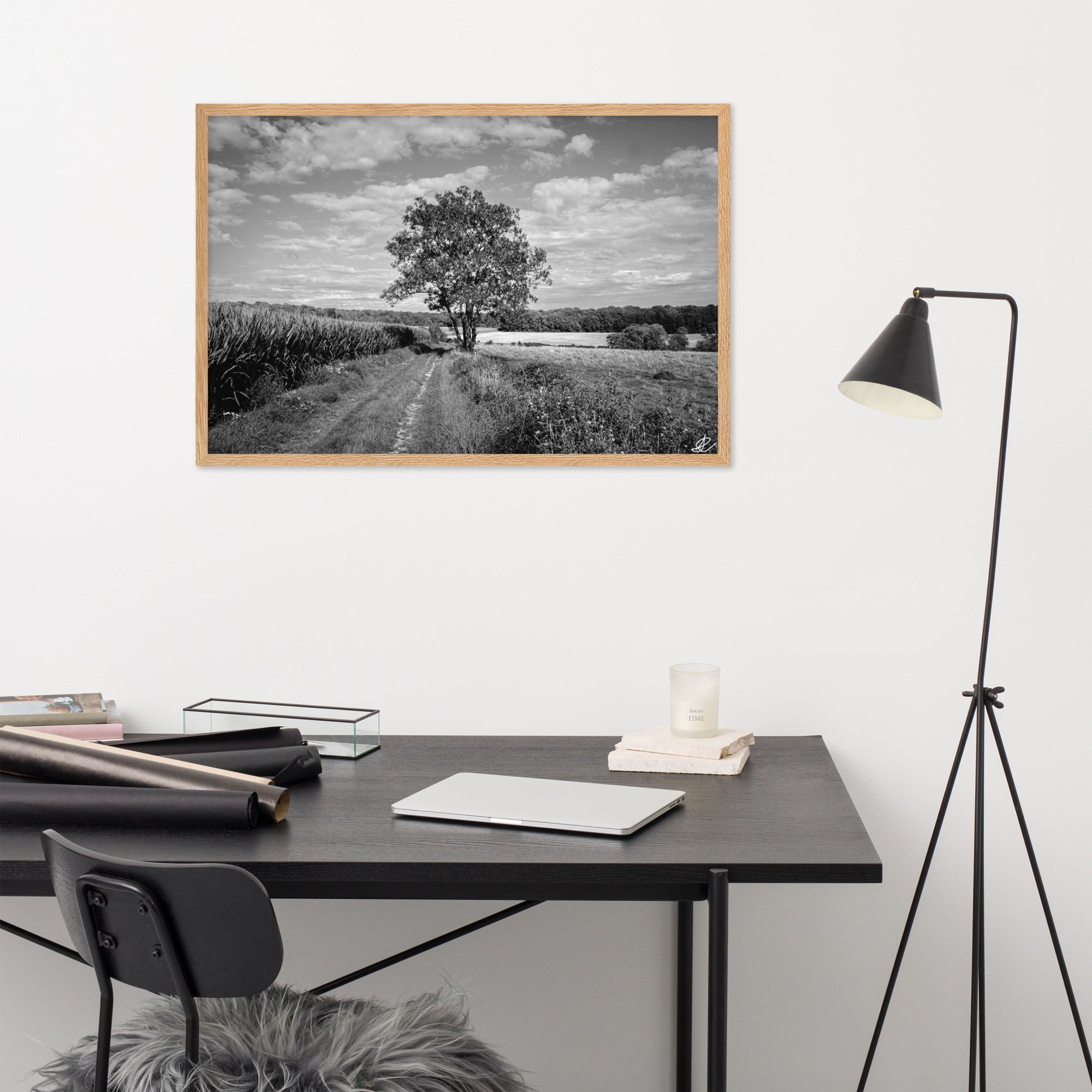 Poster en noir et blanc 'Le Grand Arbre', mettant en vedette un arbre robuste et serein au bord d'un champ ouvert, photographié de manière artistique par Ilan Shoham, offrant une présence apaisante et majestueuse à votre espace.