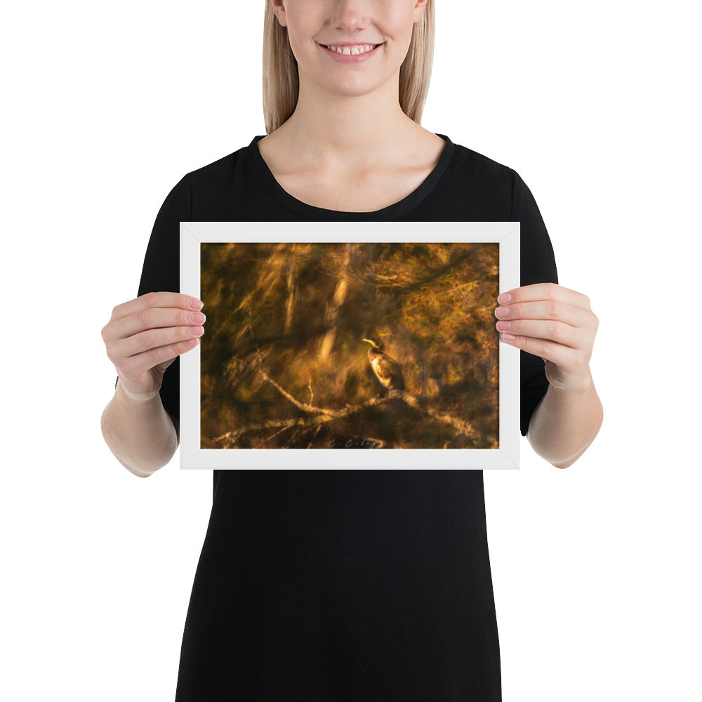 Cormoran élégamment perché sur une branche, évoquant un tableau de maître, encadré en chêne massif, une fusion unique entre photographie et peinture signée Charles Coley.