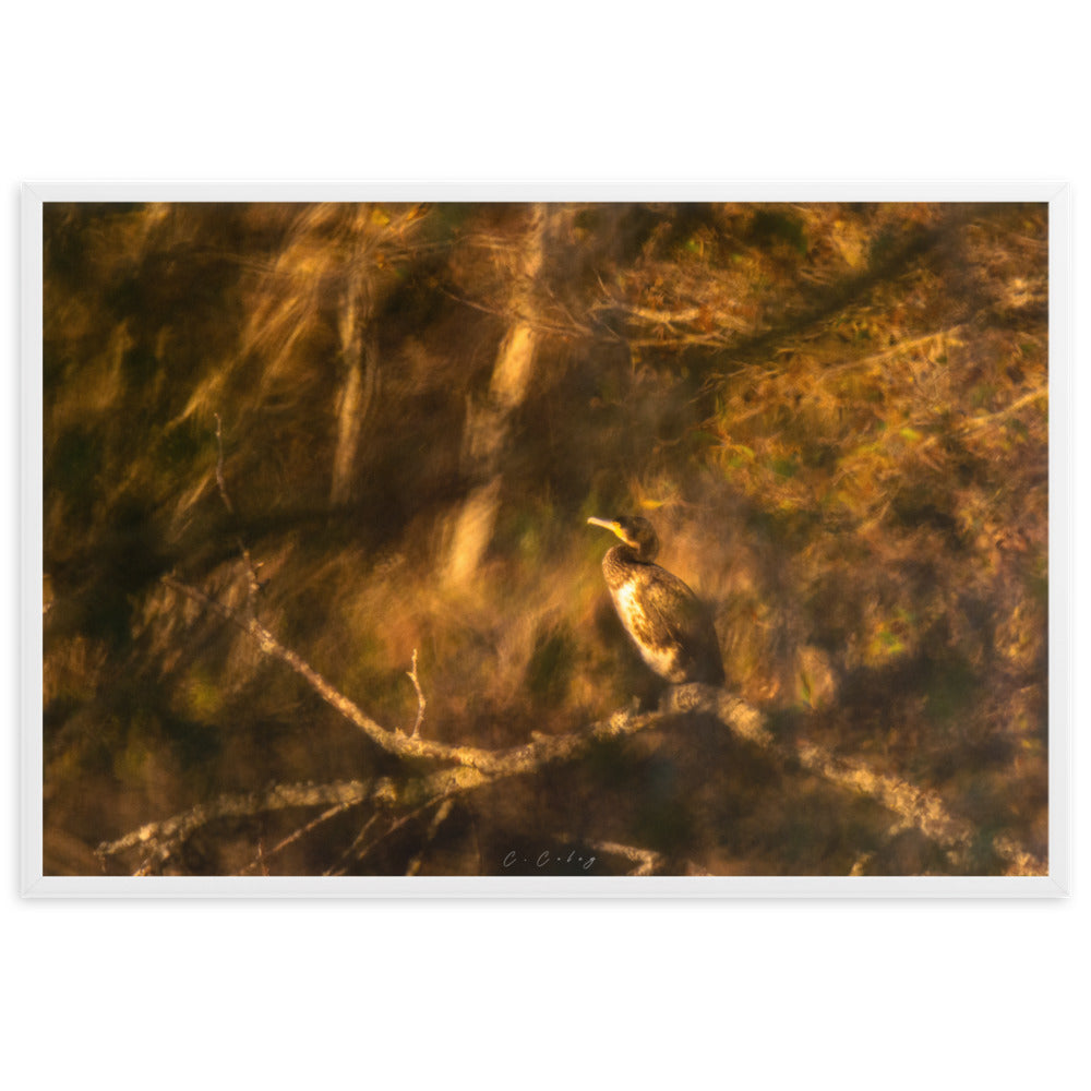 Cormoran élégamment perché sur une branche, évoquant un tableau de maître, encadré en chêne massif, une fusion unique entre photographie et peinture signée Charles Coley.