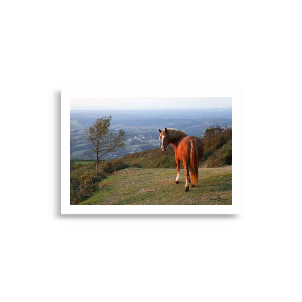 Affiche d'un cheval marron en haut d'une montagne