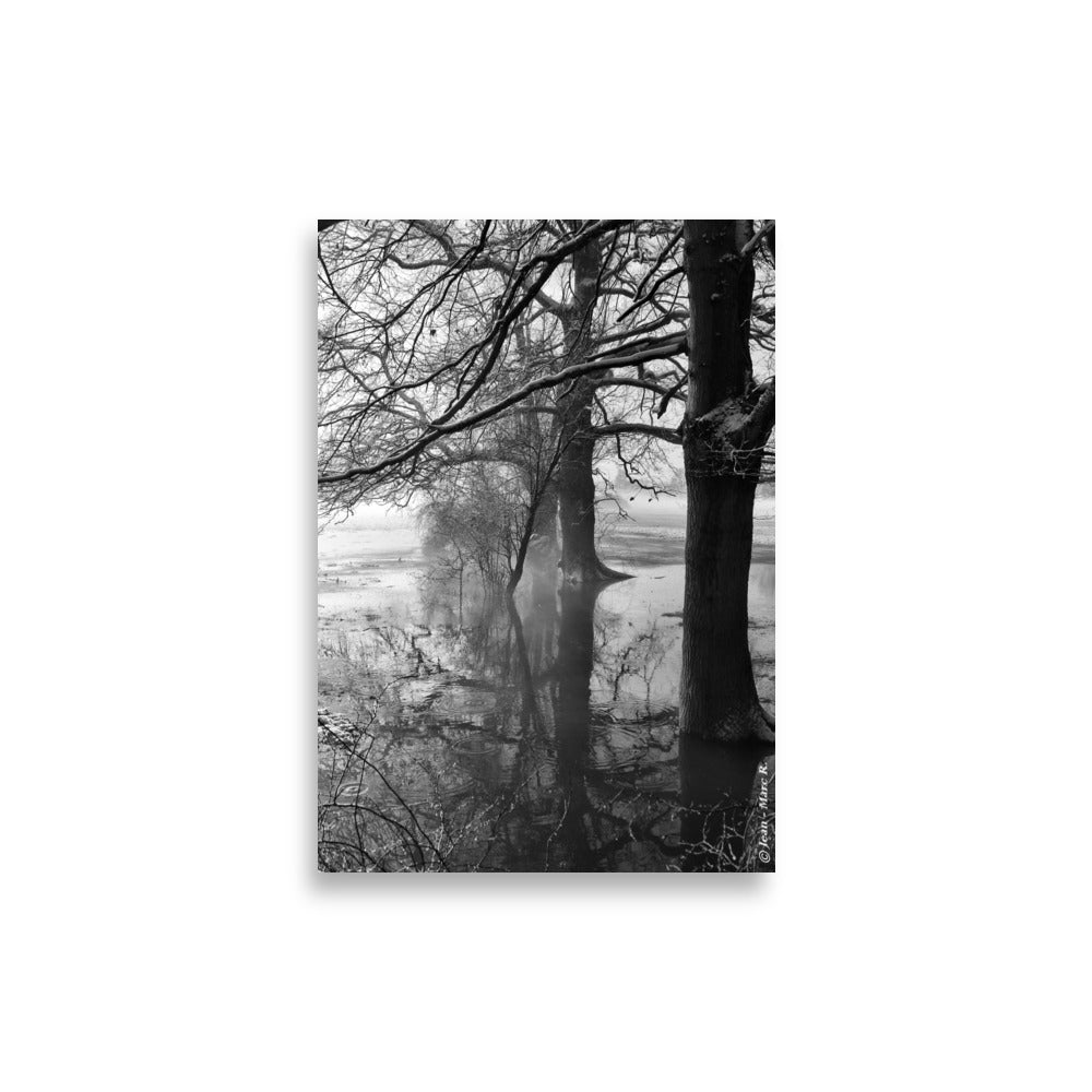 Affiche monochrome d'arbres en hiver 