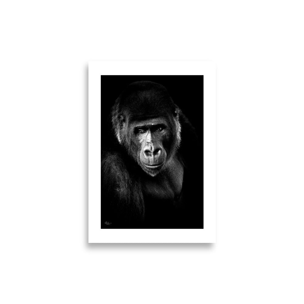 Affiche photo d'un singe sauvage en noir et blanc par Romain Gautron