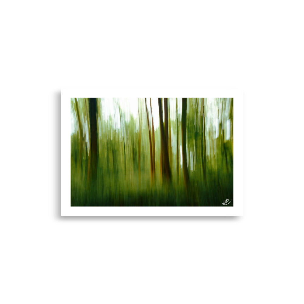 Poster Photo - Photographie artistique d'une forêt - Ilan Shoham - Affiche 21x30