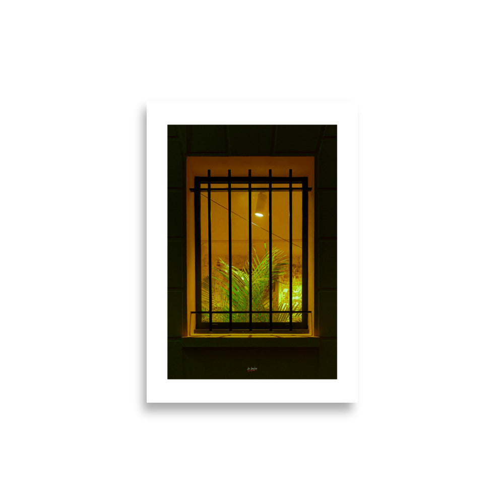 Poster photo - Une plante en prison - Léa Langlois - Affiche 21x30