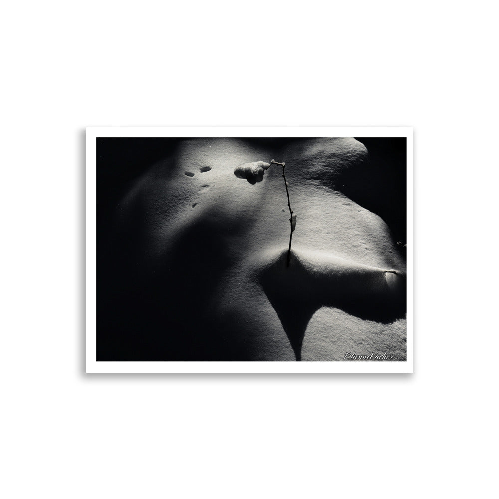 Poster noir et blanc