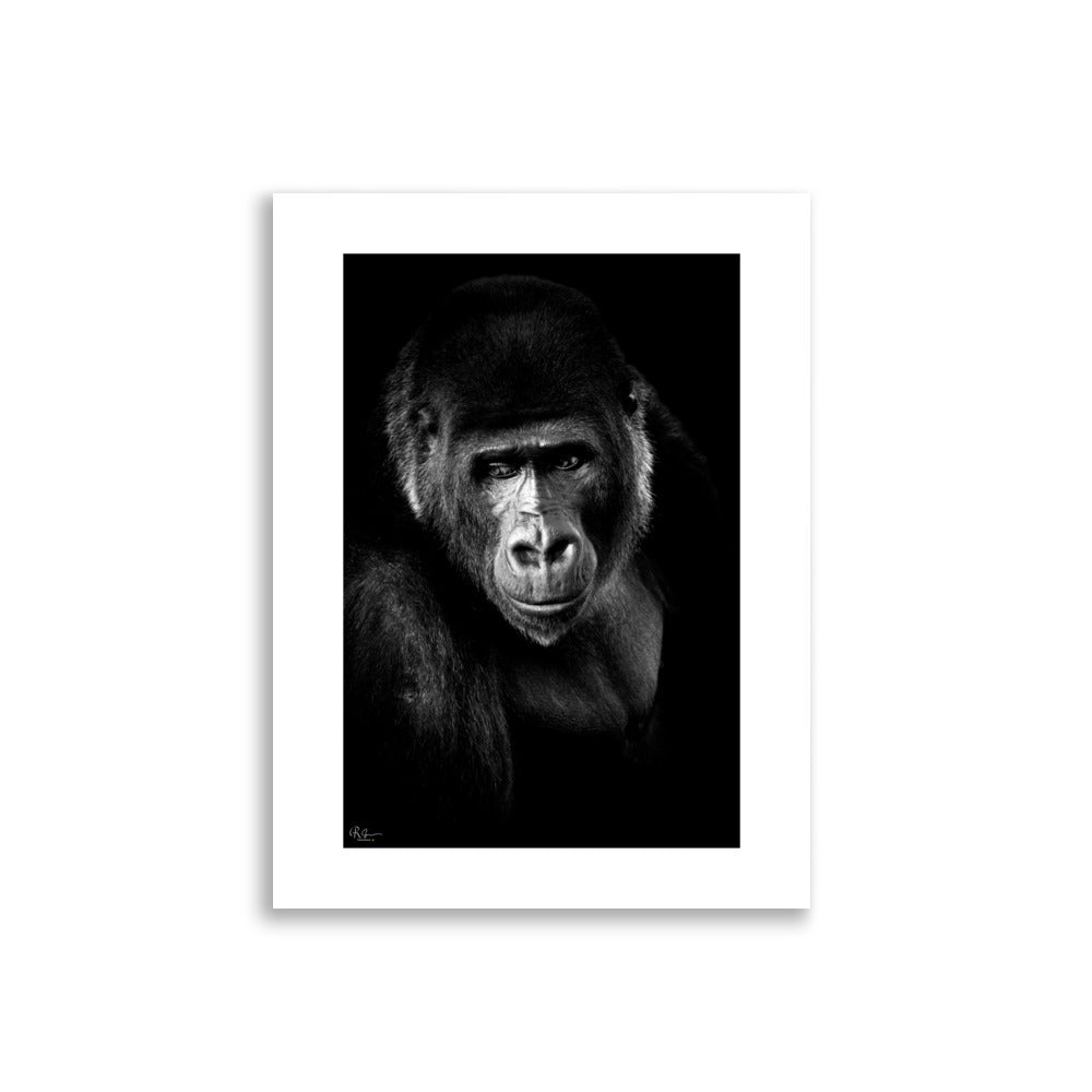 Photographie murale d'un singe en noir et blanc