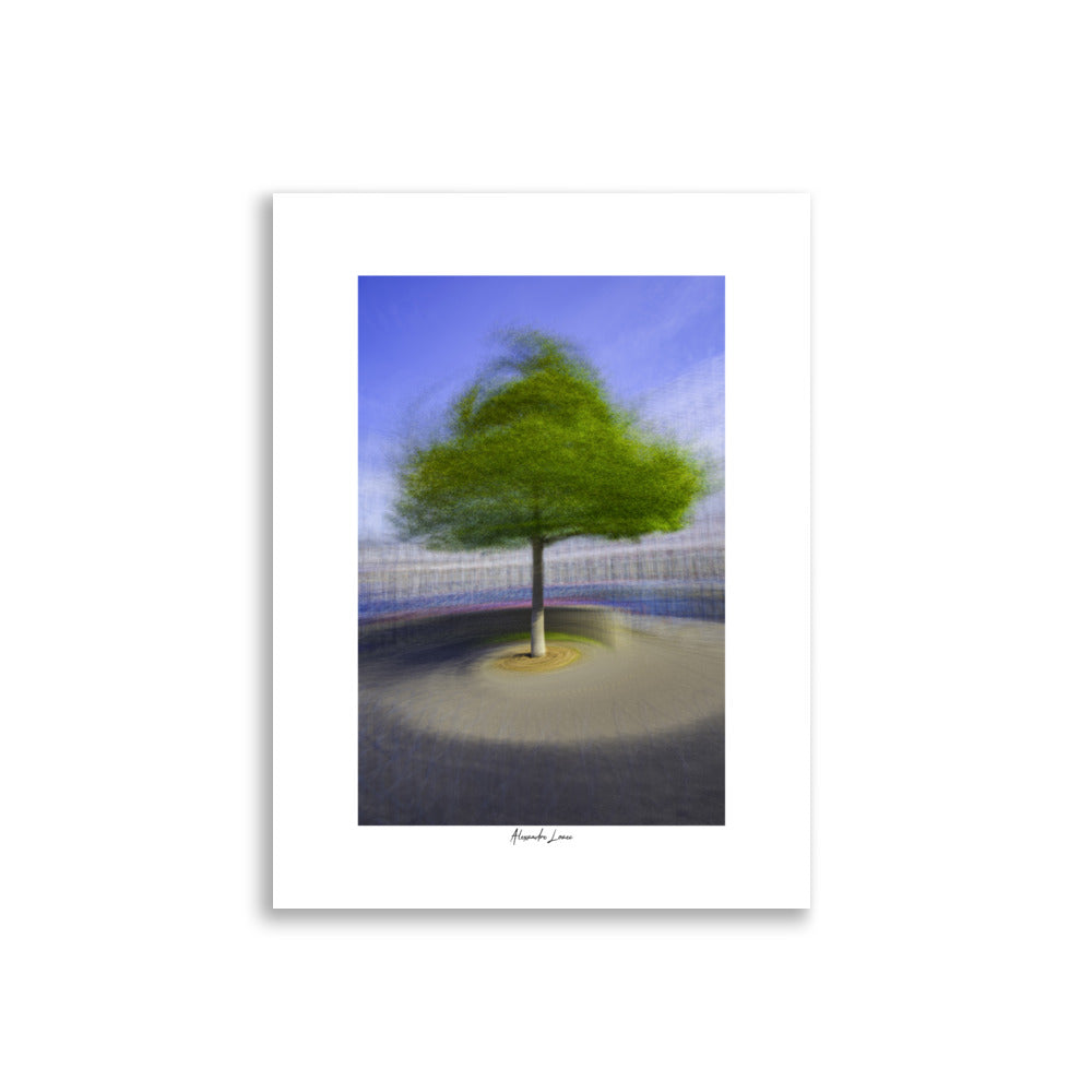 Poster photo - Arbre tournoyant - Alexandre Loaec - Affiche murale 30x40