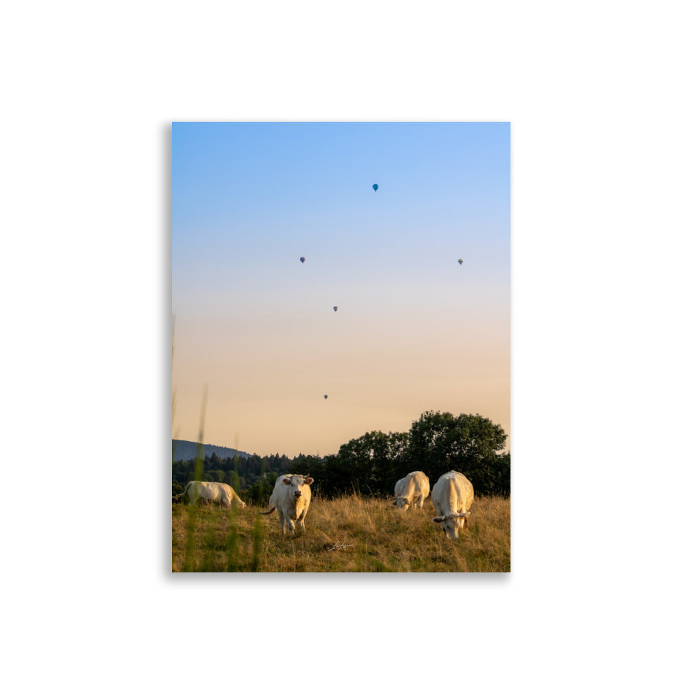 Poster - L'auvergne les vaches et les Montgolfiere - Lea Lefebvre - Affiche murale 30x40