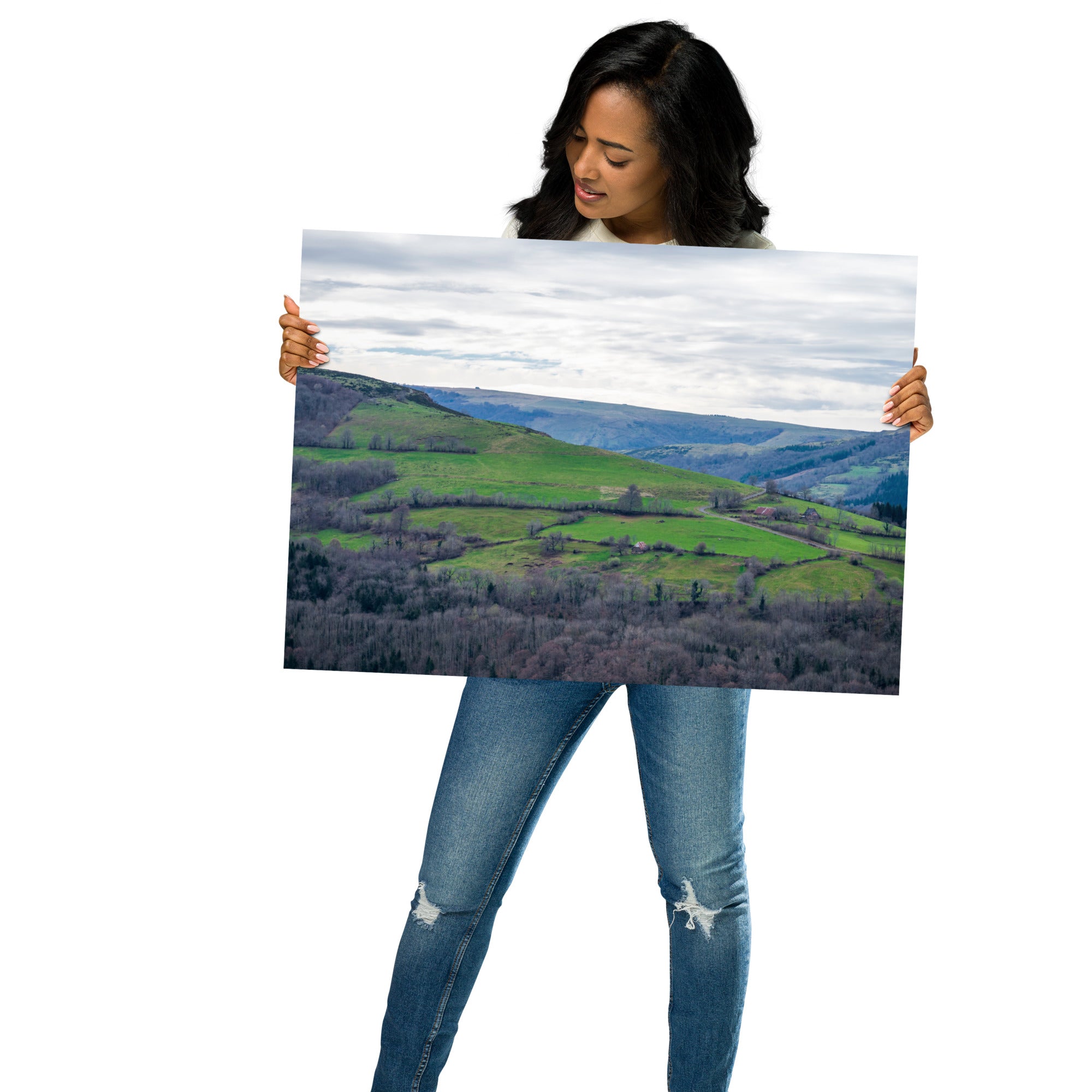 Paysage du Cantal : forêt dense à côté de prairies verdoyantes en haute altitude.