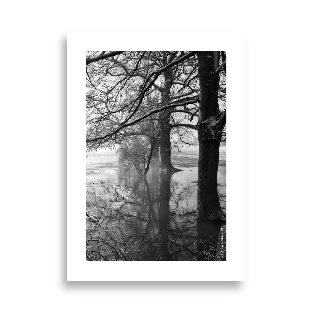 Poster en noir et blanc d'une scène en campagne en pleine nature avec des arbres et de l'eau en hiver