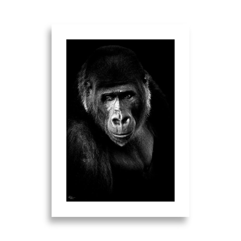 Poster animal sauvage en monochrome