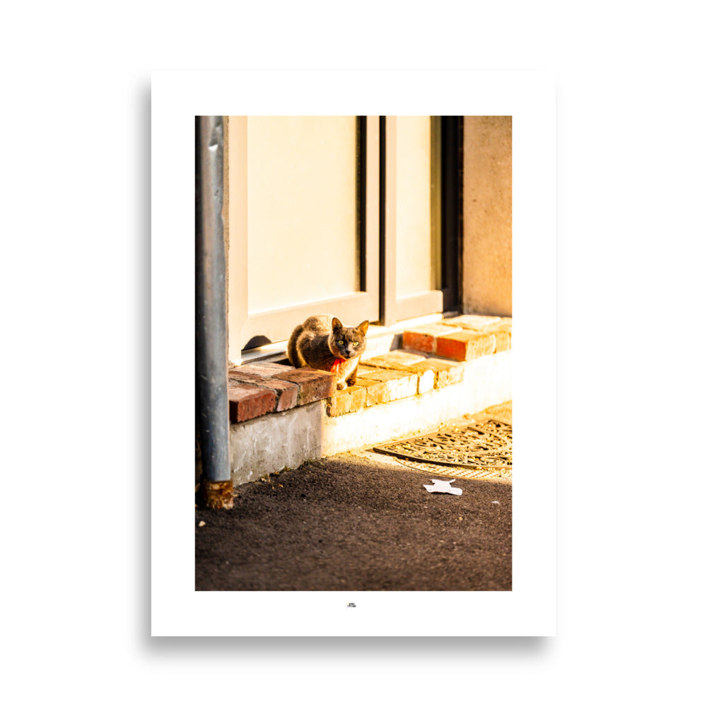 Photographie de rue de Yann Peccard