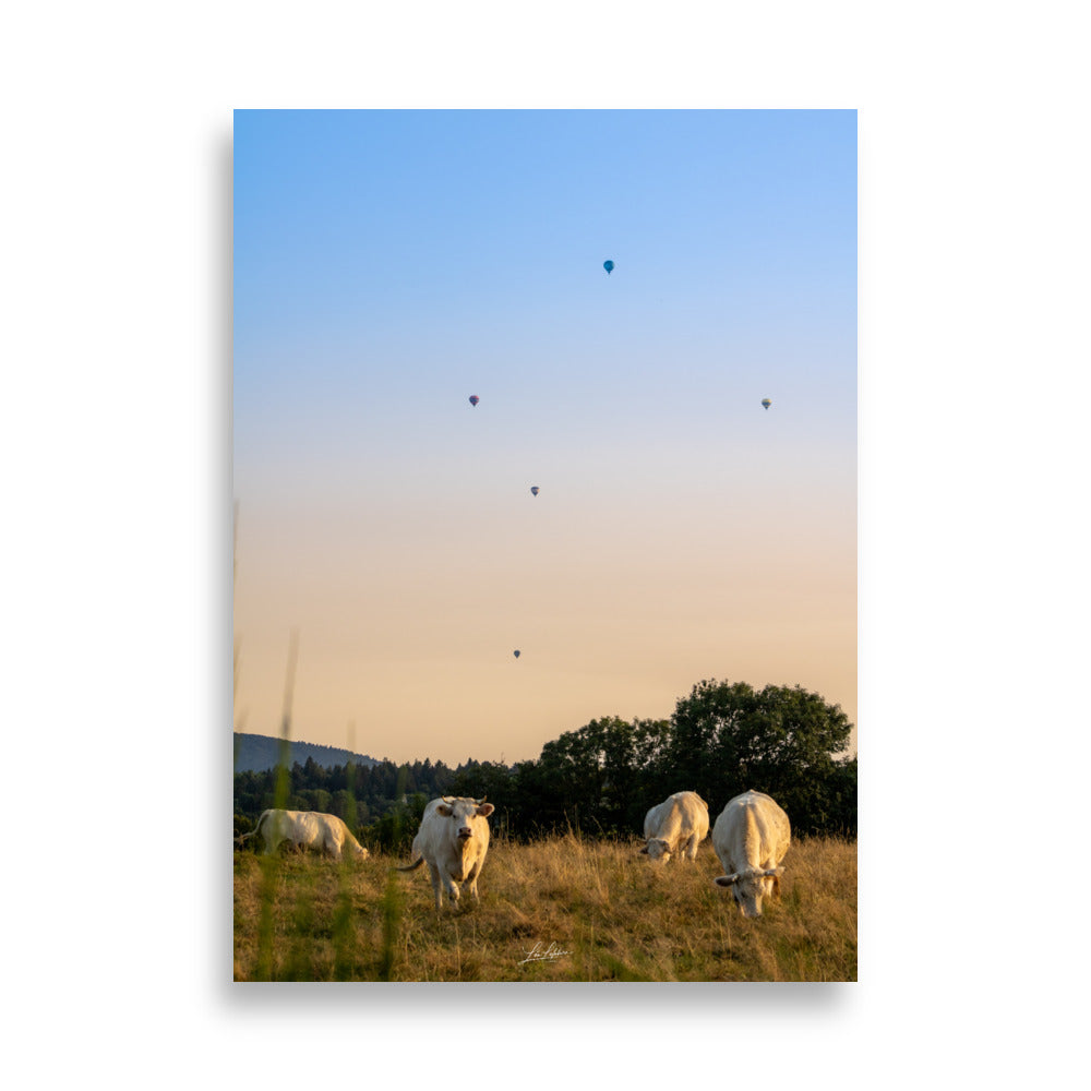 Poster - L'auvergne les vaches et les Montgolfiere - Lea Lefebvre - Affiche murale 50x70