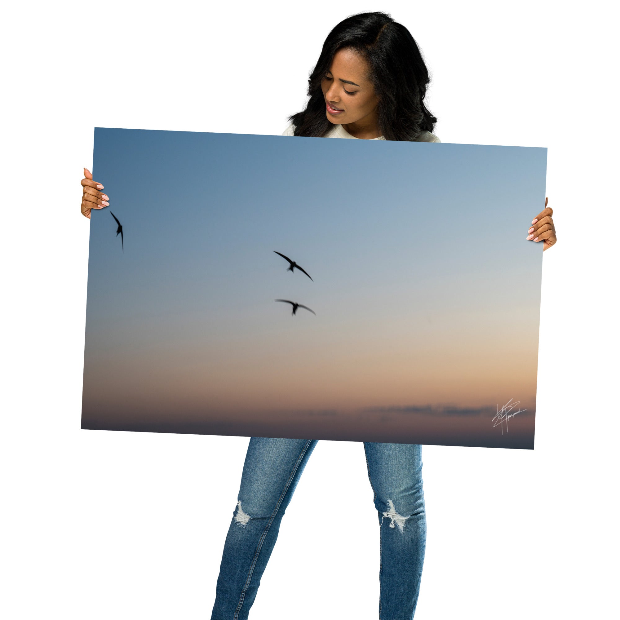 Trois oiseaux volant dans un ciel aux teintes de bleu, orange et jaune.