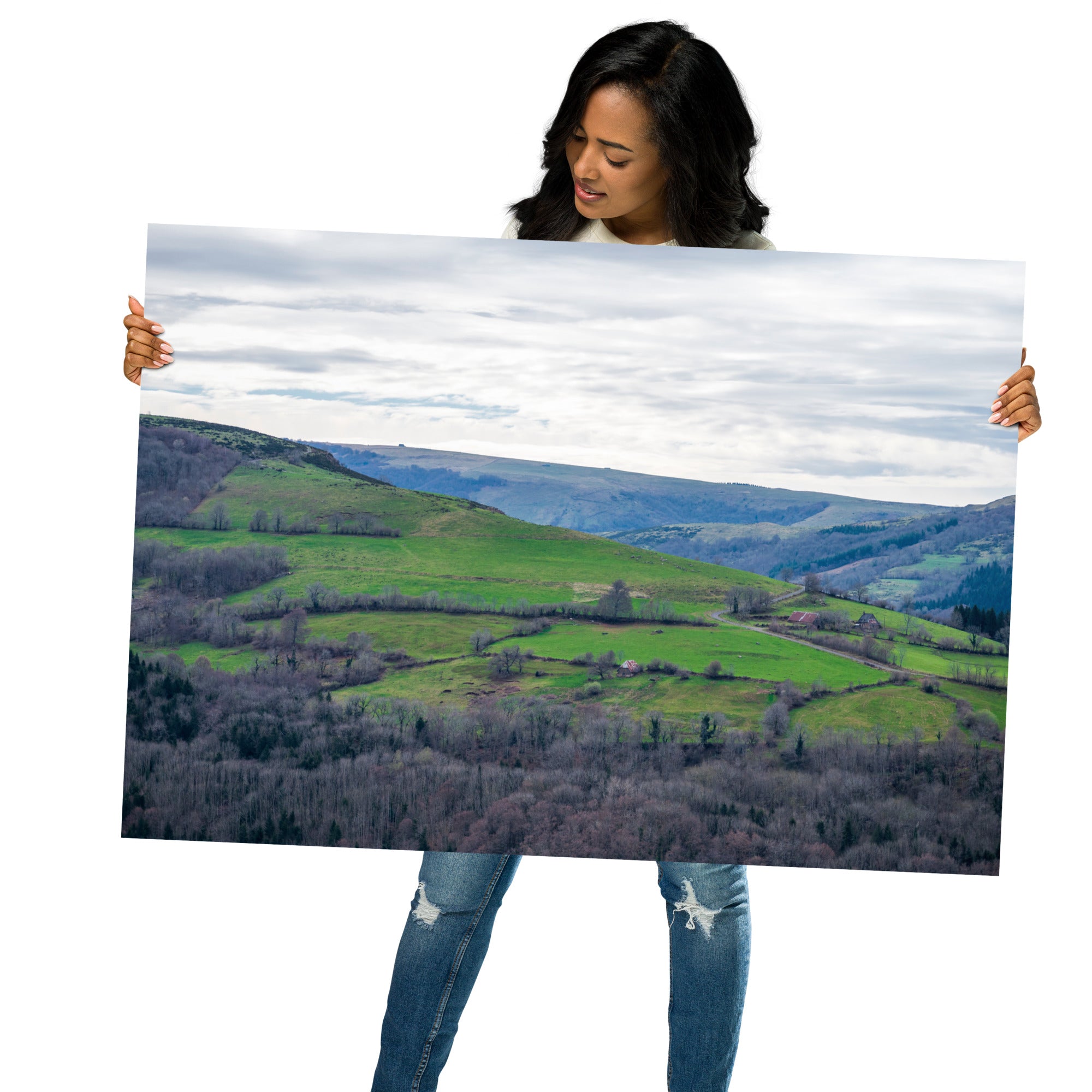 Paysage du Cantal : forêt dense à côté de prairies verdoyantes en haute altitude.