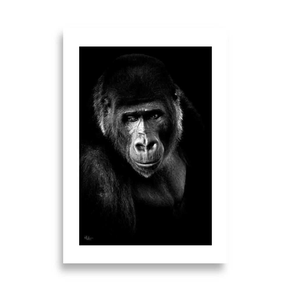 Poster de singe en noir et blanc