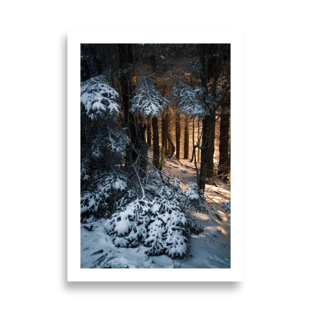 Poster et affiche nature en hiver