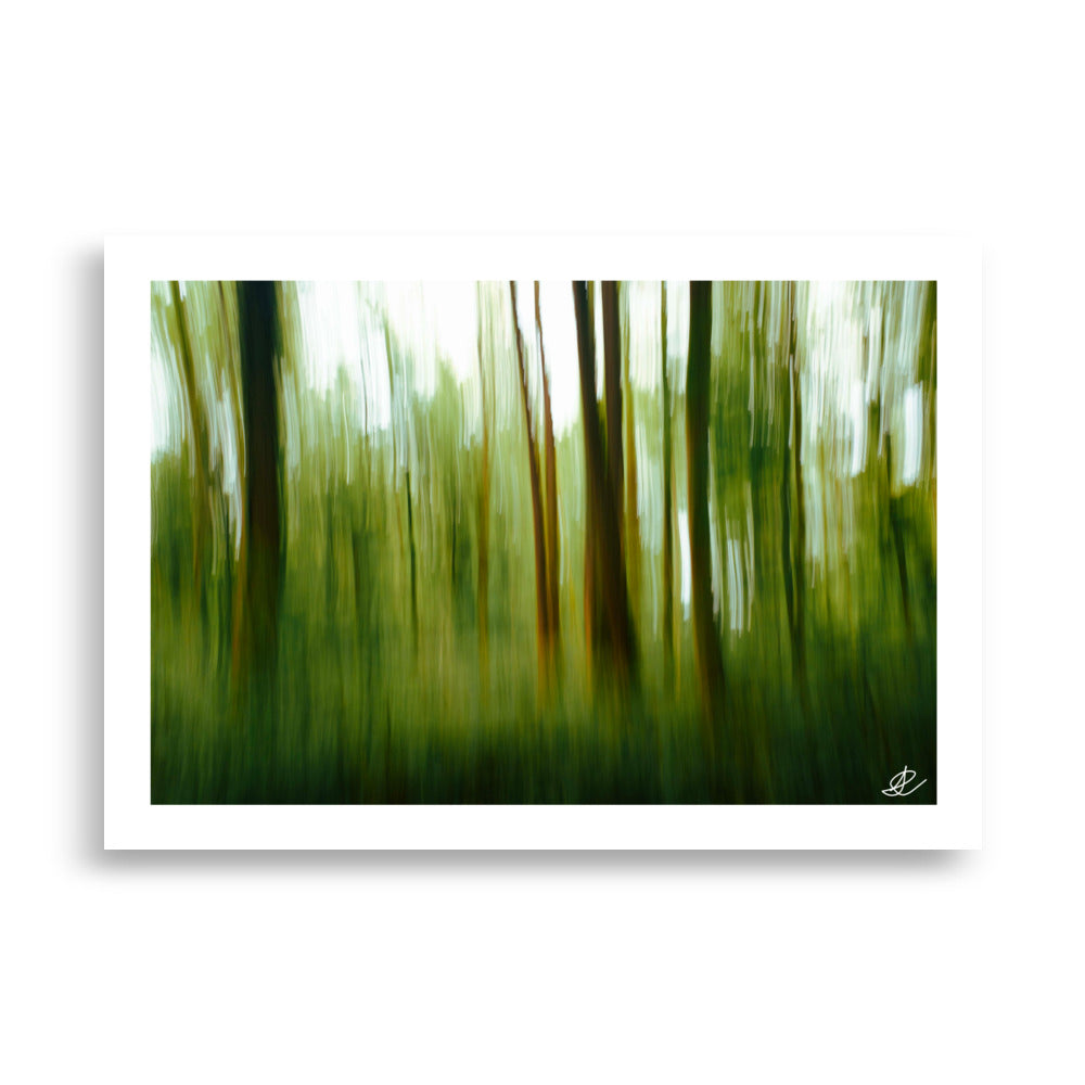 Poster Photo - Photographie artistique d'une forêt - Ilan Shoham - Affiche 70x100