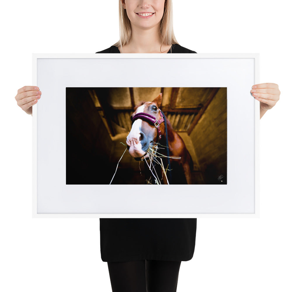 Poster encadré 'La Jument' capturant un moment intime d'une jument en train de manger, avec ses narines en premier plan et un regard curieux posé sur l'appareil photo.